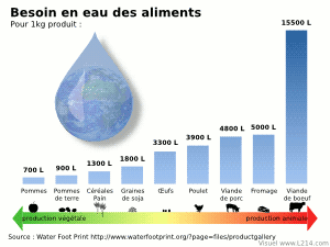 Ressources en eau n&eacute;cessaire &agrave; la production des aliments