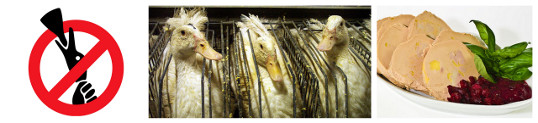 Isra&euml;l interdit le foie gras