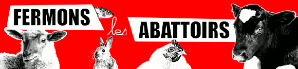 Fermons les abattoirs
