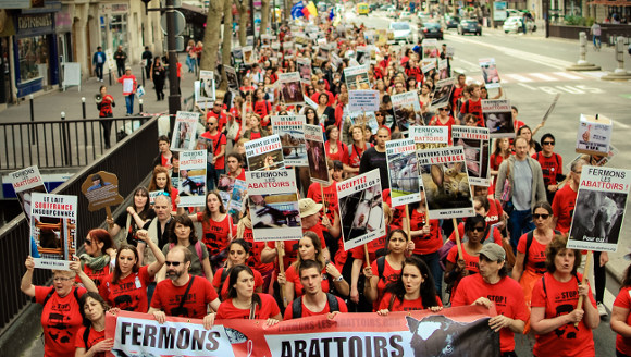 photo de la Marche en 2013