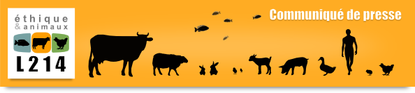 Communiqu&eacute; de presse L214&nbsp;- &Eacute;thique & Animaux