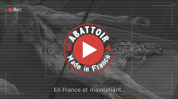 Vid&eacute;o d'enqu&ecirc;te sur l'abattoir d'Al&egrave;s