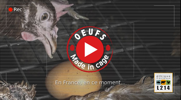 Enqu&ecirc;te au GAEC du Perrat