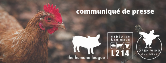 Communiqu&eacute; de presse L214&nbsp;- &Eacute;thique & Animaux