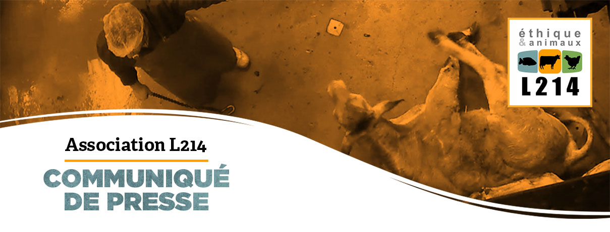 Communiqu&eacute; de presse L214&nbsp;- &Eacute;thique & Animaux