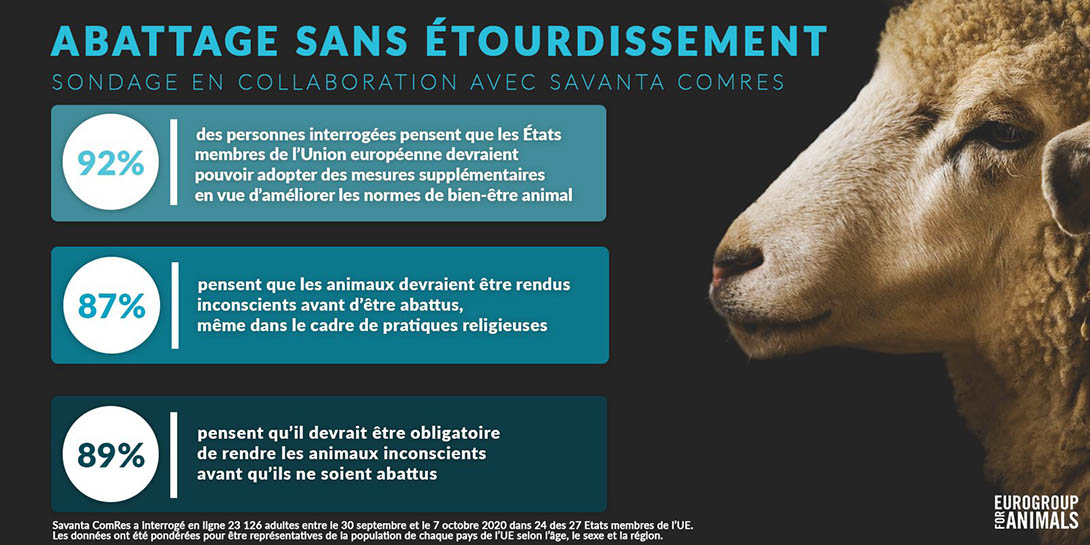 89% des Europ&eacute;ens souhaitent une obligation de rendre les animaux inconscients avant qu'ils ne soient abattus
