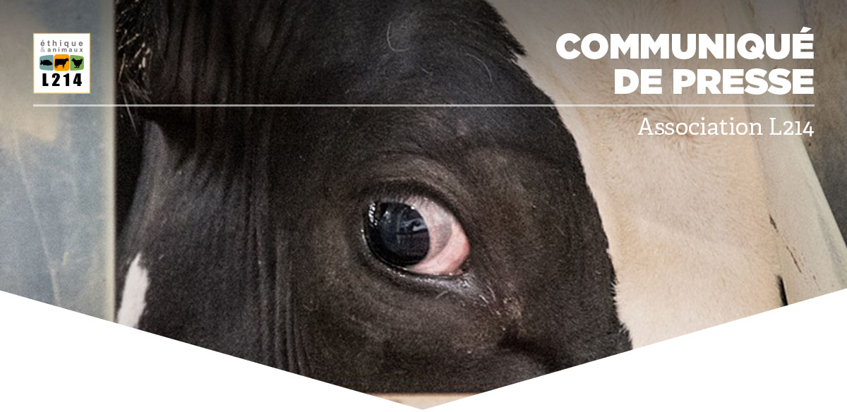 Communiqu&eacute; de presse L214