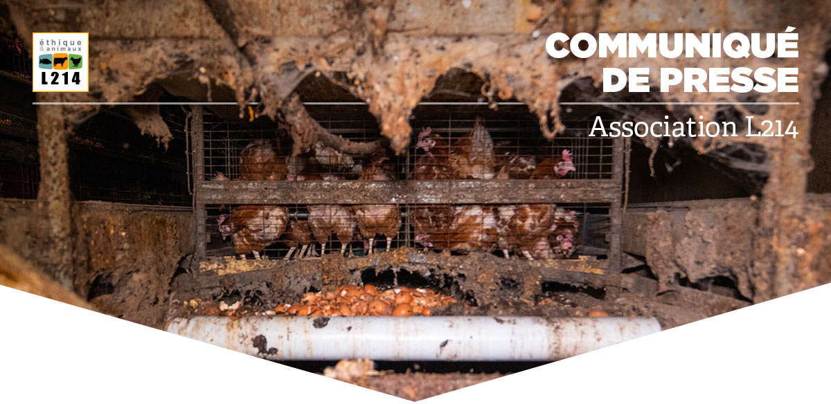 Communiqu&eacute; de presse L214&nbsp;- &Eacute;thique & Animaux