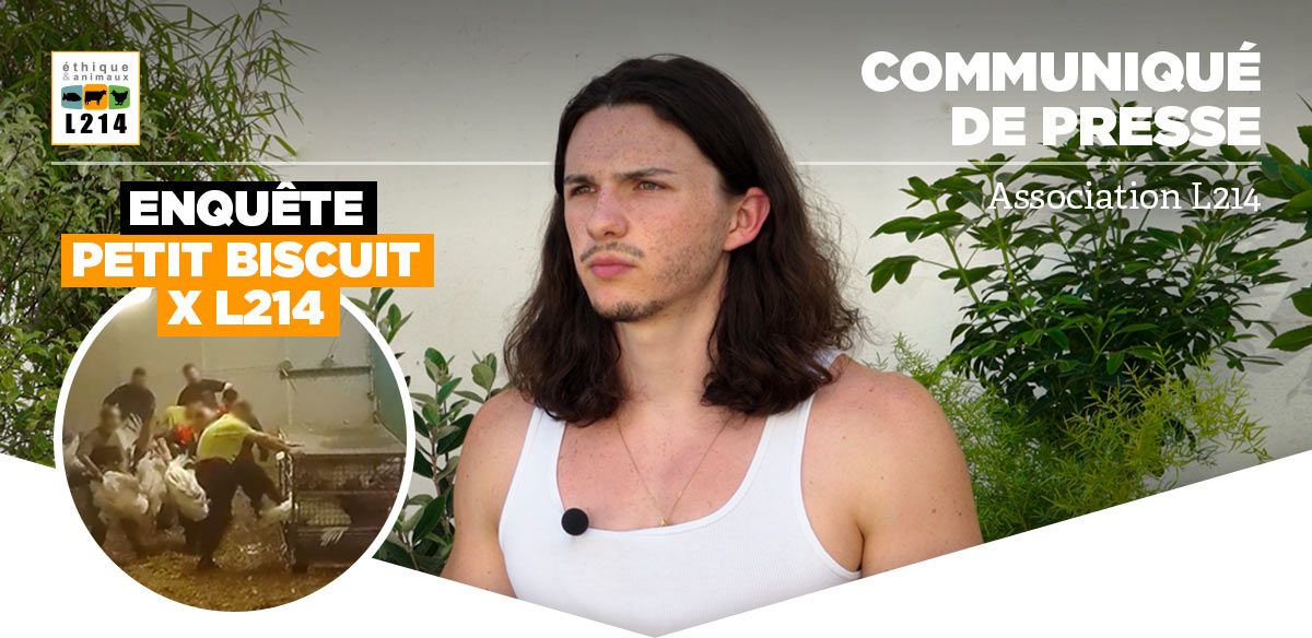 Communiqu&eacute; de presse L214&nbsp;- &Eacute;thique & Animaux