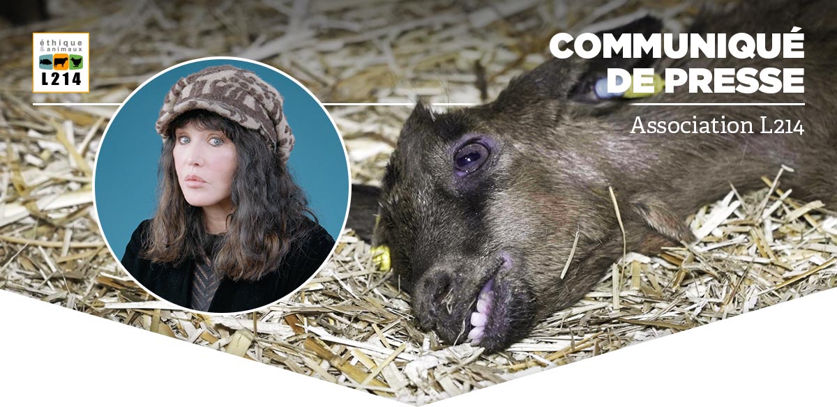 Communiqu&eacute; de presse L214&nbsp;- &Eacute;thique & Animaux