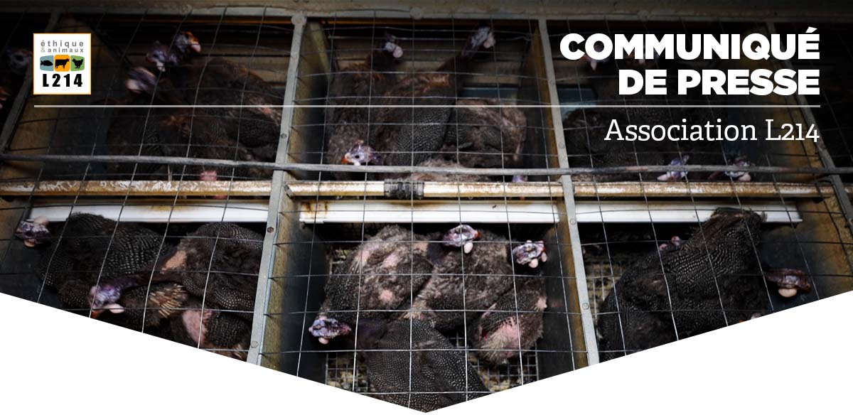 Communiqu&eacute; de presse L214 &ndash; &Eacute;thique et Animaux
