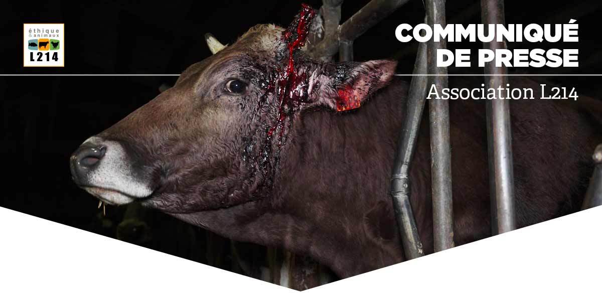Communiqu&eacute; de presse L214&nbsp;&ndash; &Eacute;thique & Animaux
