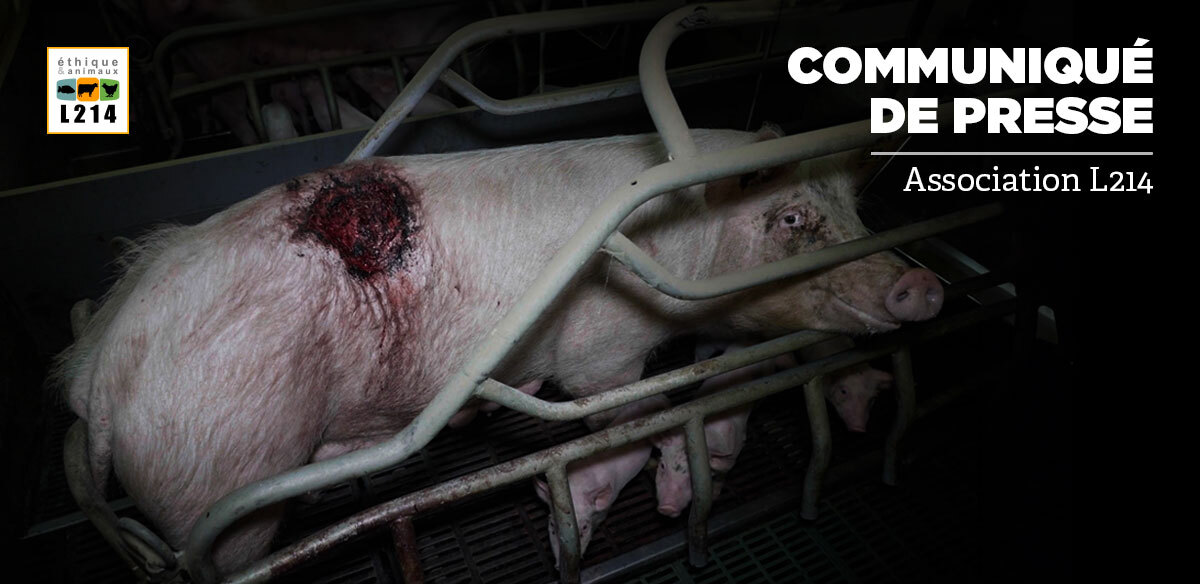 Communiqué de presse L214 – Éthique & Animaux