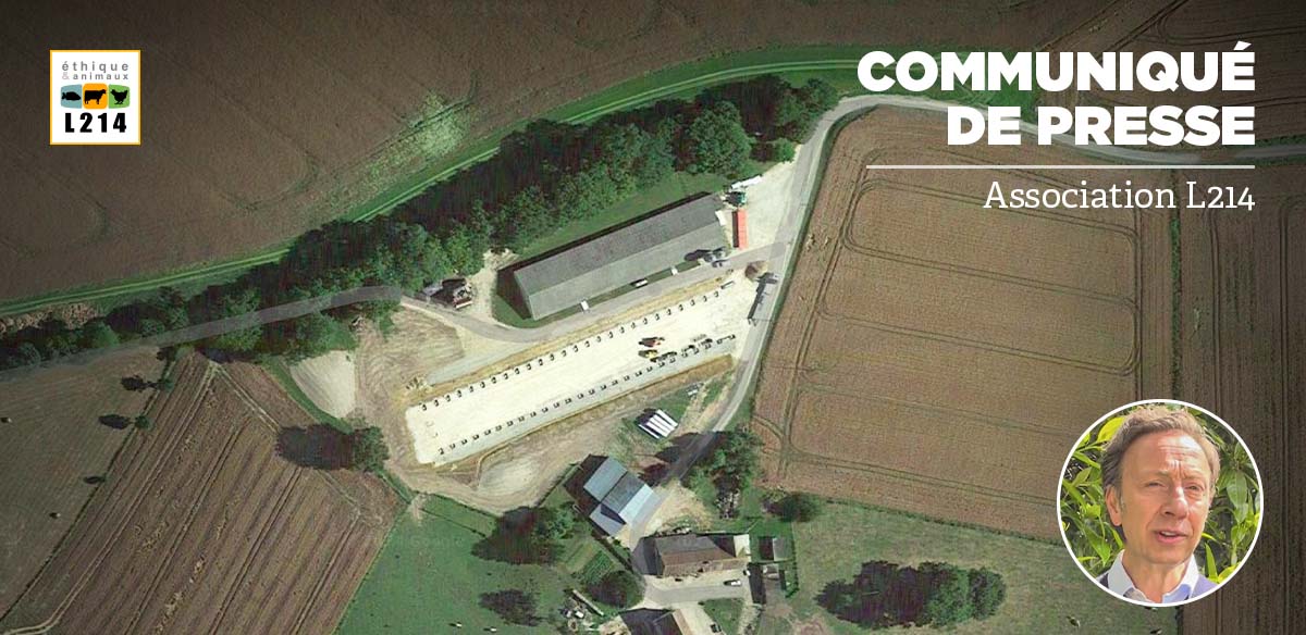 Communiqu&eacute; de presse L214&nbsp;&ndash; &Eacute;thique & Animaux