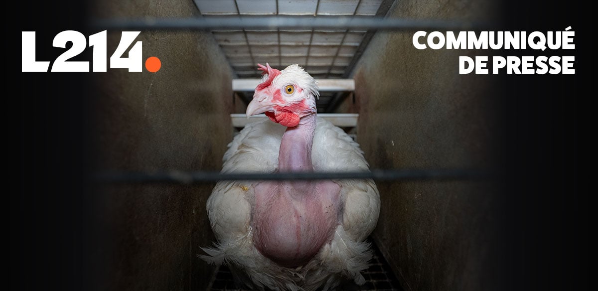 Communiqué de presse L214 – Éthique & Animaux