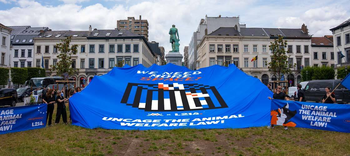 Action L214xInvader devant le Parlement Européen à Bruxelles