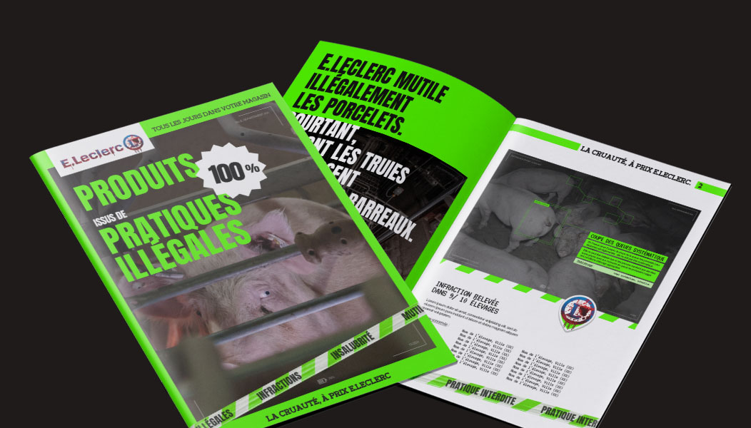 Catalogue Illégal en élevage, vendu chez Leclerc