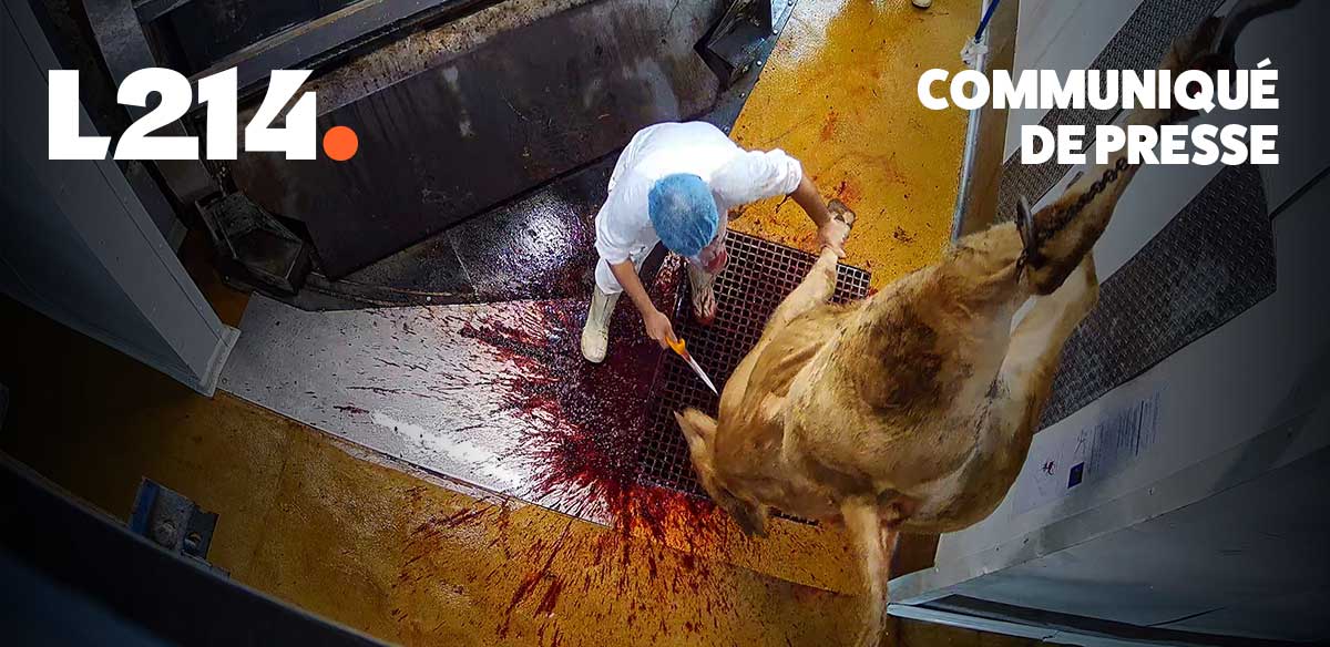 Communiqué de presse L214 – Éthique & Animaux